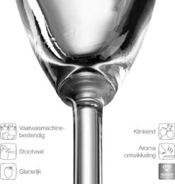 Leonardo Daily Champagneglas - 180 Ml - 6 Stuks -Aanbiedingen Keukengerei Winkel 1144x1200 1