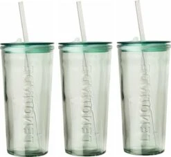 Drinkglas Met Rietje En Deksel – 550ml – 3 Stuks