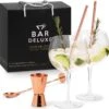 BarDeluxe® Gin Tonic Glazen - Gin Tonic Geschenkset - Handgeblazen - Gin Glazen - 2 Stuks - Gin Set - Kristal - Inclusief 2 Gin Glazen, Gin Tonic Lepel, Maatbeker, 2 RVS Rietjes & Receptenboekje