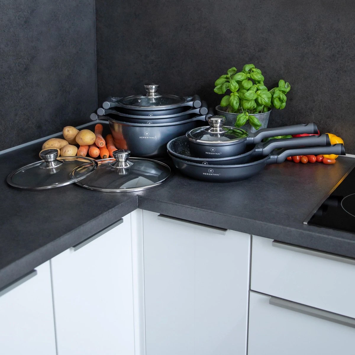 Herenthal Pannenset Inductie - Luxe 10-Delige Pannenset - Kookpotten Voor Alle Warmtebronnen - Kookpan - Pan Inductie Met Glazen Deksels En Koudgrepen - Grijs 2 Herenthal Pannenset Inductie - Luxe 10-Delige Pannenset - Kookpotten Voor Alle Warmtebronnen - Kookpan - Pan Inductie Met Glazen Deksels En Koudgrepen - Grijs - Afbeelding 2