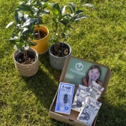 T-Sac Theefilters No.1 -Aanbiedingen Keukengerei Winkel 1200x1200 980