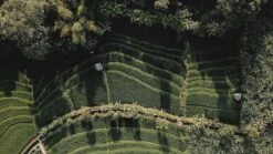 Sola Bestekset Bali - Modern - 9 Persoons - 90 Delig - Zilverwit Edelstaal 18/10 - RVS - Zilver -Aanbiedingen Keukengerei Winkel 1200x675