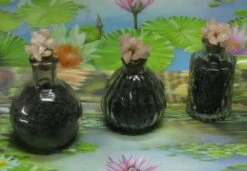 1000g Shungiet Shungite Stenen Voor Water En Ontstoring -Aanbiedingen Keukengerei Winkel 1200x832 1