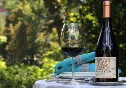 Schott Zwiesel Diva Bourgogne Wijnglas - 0,46 L - 6 Stuks -Aanbiedingen Keukengerei Winkel 1200x837 2