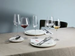 Schott Zwiesel Fortissimo Bourgogne Wijnglazen - 0.727 L - 6 Stuks 17 Schott Zwiesel Fortissimo Bourgogne Wijnglazen - 0.727 L - 6 Stuks -Aanbiedingen Keukengerei Winkel 1200x899 21