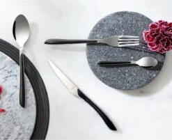 Amefa Eclat Zwart - 16 Delige Set - 4 Persoons - Zwart Gekleurd Bestek -Aanbiedingen Keukengerei Winkel 1200x975