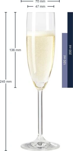 Leonardo Daily Champagneglas - 180 Ml - 6 Stuks -Aanbiedingen Keukengerei Winkel 581x1200
