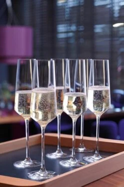 Leonardo Puccini Champagneglas - 280 Ml - 6 Stuks 14 Leonardo Puccini Champagneglas - 280 Ml - 6 Stuks -Aanbiedingen Keukengerei Winkel 800x1200 34