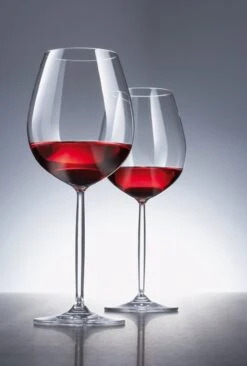 Schott Zwiesel Diva Bourgogne Wijnglas - 0,46 L - 6 Stuks -Aanbiedingen Keukengerei Winkel 810x1200