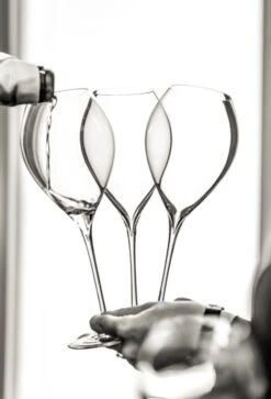 Lehmann Jamesse Champagneglazen 41cl -Aanbiedingen Keukengerei Winkel 816x1200