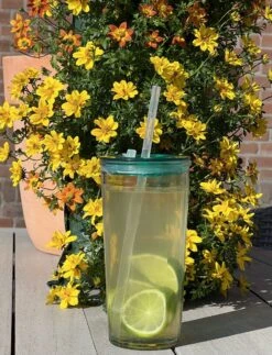 Drinkglas Met Rietje En Deksel – 550ml – 3 Stuks -Aanbiedingen Keukengerei Winkel 917x1200