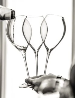 Lehmann Jamesse Champagneglazen 28.5cl -Aanbiedingen Keukengerei Winkel 925x1200 3